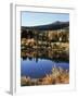 California, Sierra Nevada, Inyo Nf, Autumn Aspens Reflecting in a Pond-Christopher Talbot Frank-Framed Photographic Print