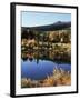 California, Sierra Nevada, Inyo Nf, Autumn Aspens Reflecting in a Pond-Christopher Talbot Frank-Framed Photographic Print