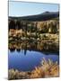 California, Sierra Nevada, Inyo Nf, Autumn Aspens Reflecting in a Pond-Christopher Talbot Frank-Mounted Photographic Print