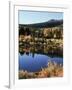 California, Sierra Nevada, Inyo Nf, Autumn Aspens Reflecting in a Pond-Christopher Talbot Frank-Framed Photographic Print