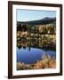 California, Sierra Nevada, Inyo Nf, Autumn Aspens Reflecting in a Pond-Christopher Talbot Frank-Framed Photographic Print