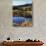 California, Sierra Nevada, Inyo Nf, Autumn Aspens Reflecting in a Pond-Christopher Talbot Frank-Photographic Print displayed on a wall