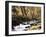 California, Sierra Nevada, Inyo Nf, Cottonwood Trees Along Mcgee Creek-Christopher Talbot Frank-Framed Photographic Print