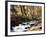 California, Sierra Nevada, Inyo Nf, Cottonwood Trees Along Mcgee Creek-Christopher Talbot Frank-Framed Photographic Print