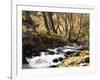 California, Sierra Nevada, Inyo Nf, Cottonwood Trees Along Mcgee Creek-Christopher Talbot Frank-Framed Photographic Print