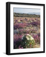 California, Sierra Nevada, Inyo Nf, Cottonwood Trees Along Mcgee Creek-Christopher Talbot Frank-Framed Photographic Print