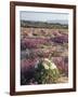 California, Sierra Nevada, Inyo Nf, Cottonwood Trees Along Mcgee Creek-Christopher Talbot Frank-Framed Photographic Print