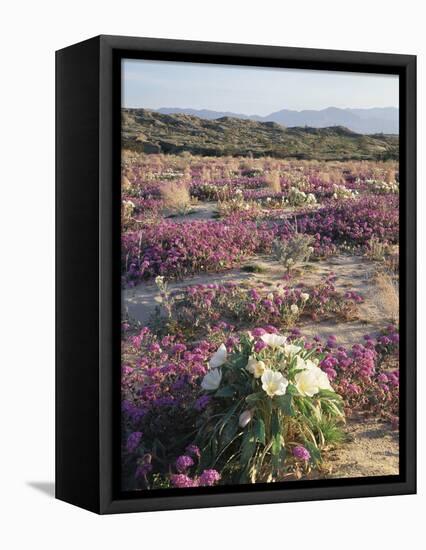 California, Sierra Nevada, Inyo Nf, Cottonwood Trees Along Mcgee Creek-Christopher Talbot Frank-Framed Stretched Canvas