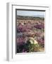 California, Sierra Nevada, Inyo Nf, Cottonwood Trees Along Mcgee Creek-Christopher Talbot Frank-Framed Photographic Print