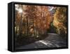 California, Sierra Nevada, Inyo Nf, Dirt Road, Fall Colors of Aspens-Christopher Talbot Frank-Framed Stretched Canvas