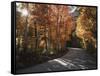 California, Sierra Nevada, Inyo Nf, Dirt Road, Fall Colors of Aspens-Christopher Talbot Frank-Framed Stretched Canvas