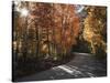 California, Sierra Nevada, Inyo Nf, Dirt Road, Fall Colors of Aspens-Christopher Talbot Frank-Stretched Canvas