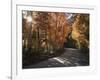 California, Sierra Nevada, Inyo Nf, Dirt Road, Fall Colors of Aspens-Christopher Talbot Frank-Framed Photographic Print