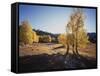 California, Sierra Nevada, Inyo Nf, Dirt Road, Fall Colors of Aspens-Christopher Talbot Frank-Framed Stretched Canvas