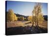 California, Sierra Nevada, Inyo Nf, Dirt Road, Fall Colors of Aspens-Christopher Talbot Frank-Stretched Canvas