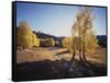 California, Sierra Nevada, Inyo Nf, Dirt Road, Fall Colors of Aspens-Christopher Talbot Frank-Framed Stretched Canvas