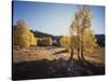California, Sierra Nevada, Inyo Nf, Dirt Road, Fall Colors of Aspens-Christopher Talbot Frank-Stretched Canvas