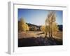 California, Sierra Nevada, Inyo Nf, Dirt Road, Fall Colors of Aspens-Christopher Talbot Frank-Framed Premium Photographic Print