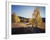 California, Sierra Nevada, Inyo Nf, Dirt Road, Fall Colors of Aspens-Christopher Talbot Frank-Framed Photographic Print