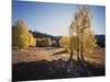 California, Sierra Nevada, Inyo Nf, Dirt Road, Fall Colors of Aspens-Christopher Talbot Frank-Mounted Photographic Print