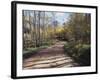 California, Sierra Nevada, Inyo Nf, Dirt Road, Fall Colors of Aspens-Christopher Talbot Frank-Framed Photographic Print