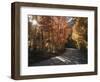 California, Sierra Nevada, Inyo Nf, Dirt Road, Fall Colors of Aspens-Christopher Talbot Frank-Framed Photographic Print