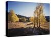 California, Sierra Nevada, Inyo Nf, Dirt Road, Fall Colors of Aspens-Christopher Talbot Frank-Stretched Canvas