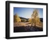 California, Sierra Nevada, Inyo Nf, Dirt Road, Fall Colors of Aspens-Christopher Talbot Frank-Framed Photographic Print