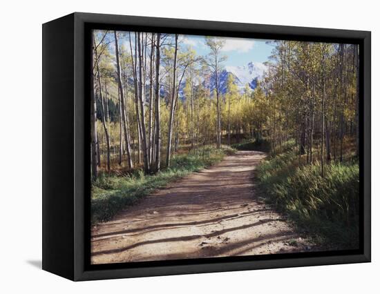 California, Sierra Nevada, Inyo Nf, Dirt Road, Fall Colors of Aspens-Christopher Talbot Frank-Framed Stretched Canvas