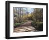 California, Sierra Nevada, Inyo Nf, Dirt Road, Fall Colors of Aspens-Christopher Talbot Frank-Framed Photographic Print