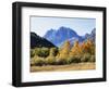 California, Sierra Nevada, Inyo Nf, Fall Colors of Aspen Trees-Christopher Talbot Frank-Framed Photographic Print