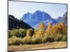 California, Sierra Nevada, Inyo Nf, Fall Colors of Aspen Trees-Christopher Talbot Frank-Mounted Photographic Print