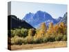 California, Sierra Nevada, Inyo Nf, Fall Colors of Aspen Trees-Christopher Talbot Frank-Stretched Canvas