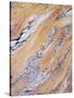 California, Sierra Nevada, Inyo Nf, Patterns of Wood Grain-Christopher Talbot Frank-Stretched Canvas