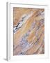 California, Sierra Nevada, Inyo Nf, Patterns of Wood Grain-Christopher Talbot Frank-Framed Premium Photographic Print