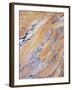 California, Sierra Nevada, Inyo Nf, Patterns of Wood Grain-Christopher Talbot Frank-Framed Premium Photographic Print