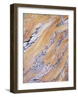 California, Sierra Nevada, Inyo Nf, Patterns of Wood Grain-Christopher Talbot Frank-Framed Photographic Print