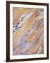 California, Sierra Nevada, Inyo Nf, Patterns of Wood Grain-Christopher Talbot Frank-Framed Photographic Print