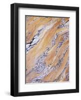 California, Sierra Nevada, Inyo Nf, Patterns of Wood Grain-Christopher Talbot Frank-Framed Photographic Print