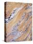 California, Sierra Nevada, Inyo Nf, Patterns of Wood Grain-Christopher Talbot Frank-Stretched Canvas