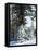 California, Sierra Nevada, Inyo Nf, Snow Covered Red Fir Trees Trees-Christopher Talbot Frank-Framed Stretched Canvas