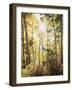 California, Sierra Nevada, Inyo Nf, Suns Rays Through Autumn Aspens-Christopher Talbot Frank-Framed Photographic Print