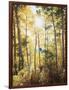 California, Sierra Nevada, Inyo Nf, Suns Rays Through Autumn Aspens-Christopher Talbot Frank-Framed Photographic Print