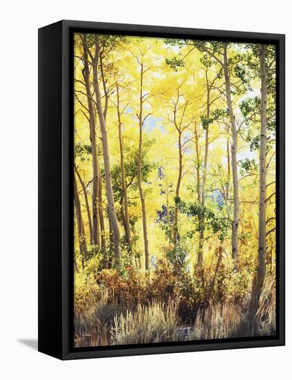 California, Sierra Nevada, Inyo Nf, Suns Rays Through Autumn Aspens-Christopher Talbot Frank-Framed Stretched Canvas