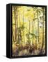 California, Sierra Nevada, Inyo Nf, Suns Rays Through Autumn Aspens-Christopher Talbot Frank-Framed Stretched Canvas