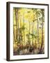 California, Sierra Nevada, Inyo Nf, Suns Rays Through Autumn Aspens-Christopher Talbot Frank-Framed Premium Photographic Print