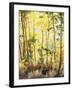 California, Sierra Nevada, Inyo Nf, Suns Rays Through Autumn Aspens-Christopher Talbot Frank-Framed Premium Photographic Print