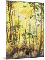 California, Sierra Nevada, Inyo Nf, Suns Rays Through Autumn Aspens-Christopher Talbot Frank-Mounted Premium Photographic Print