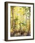 California, Sierra Nevada, Inyo Nf, Suns Rays Through Autumn Aspens-Christopher Talbot Frank-Framed Photographic Print