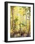 California, Sierra Nevada, Inyo Nf, Suns Rays Through Autumn Aspens-Christopher Talbot Frank-Framed Photographic Print